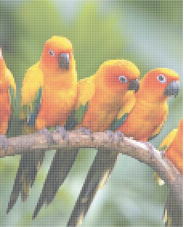 Vögel Diamond Painting