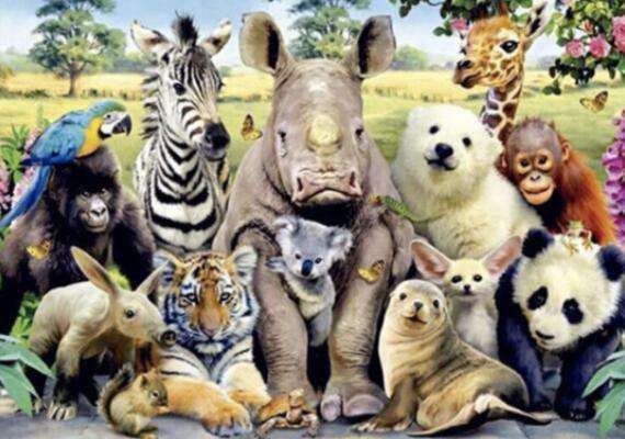 Safari Tierfreunde Diamond Painting Motiv