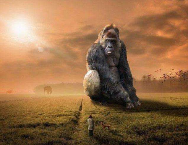 Gorilla in der Savanne Diamond Painting