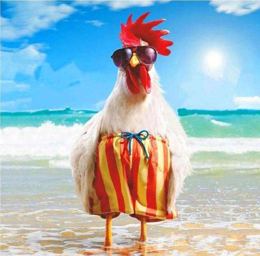 Lustiger Hahn im Urlaub Diamond Painting mit Sonnenbrille am Strand
