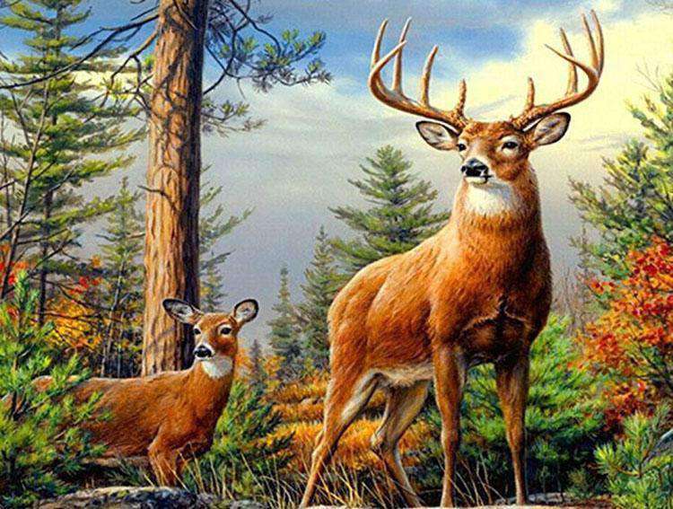Hirsche im Wald Diamond Painting mit Hirschpaar und Bäumen