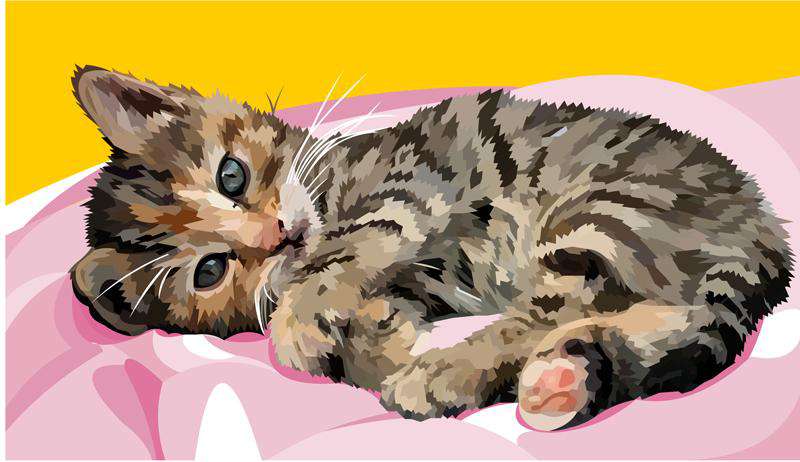 Süße Katze Diamond Painting